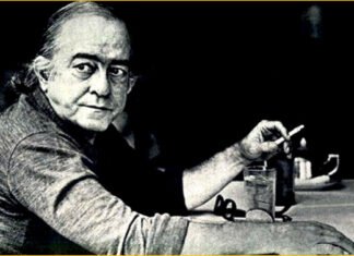 A crônica segundo Vinícius